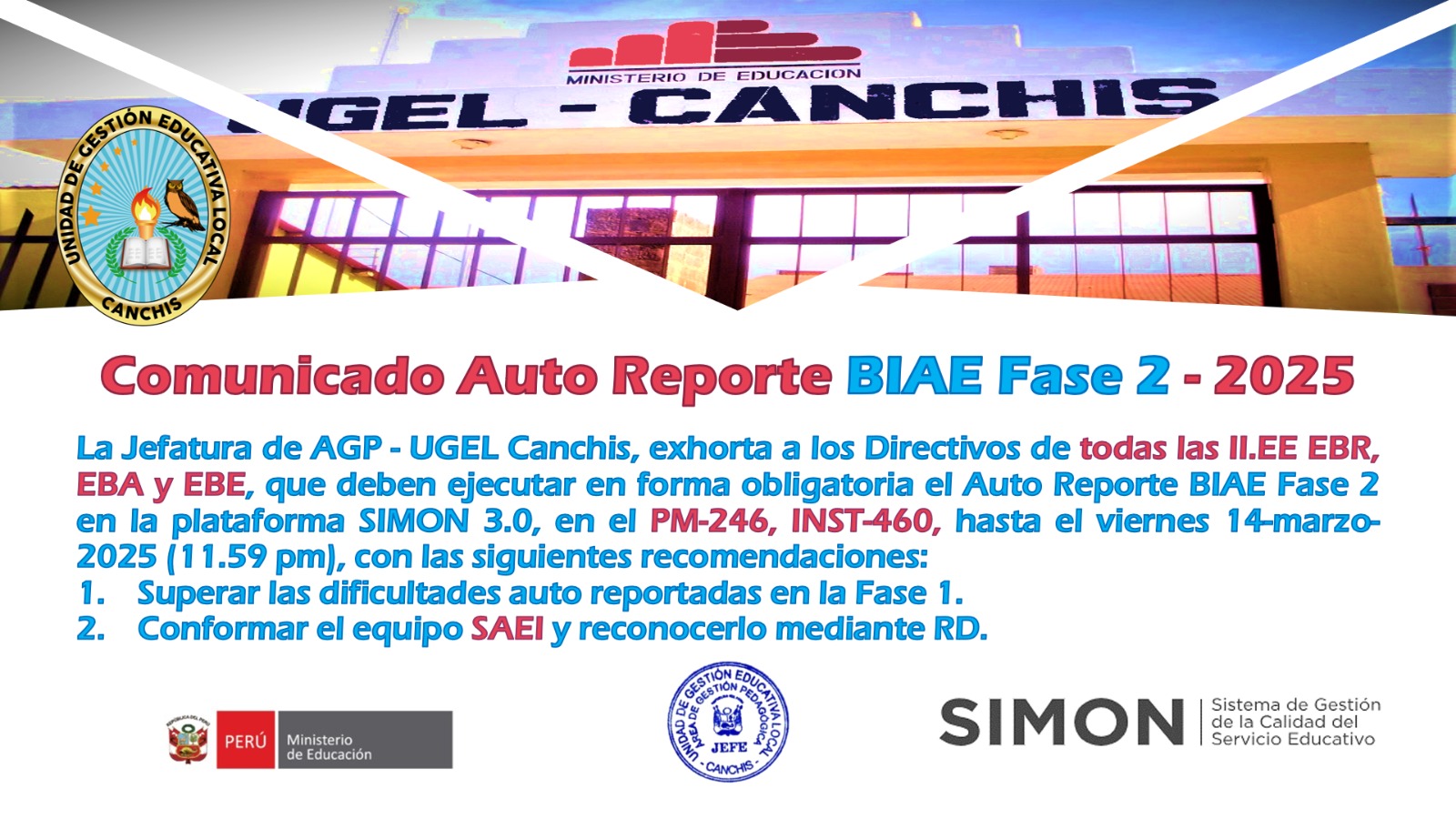 Comunicado Auto Reporte BIAE Fase 2 - 2025